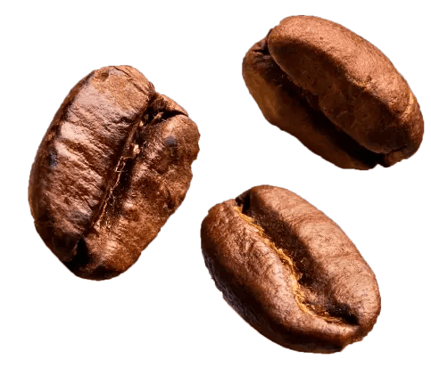 grano café